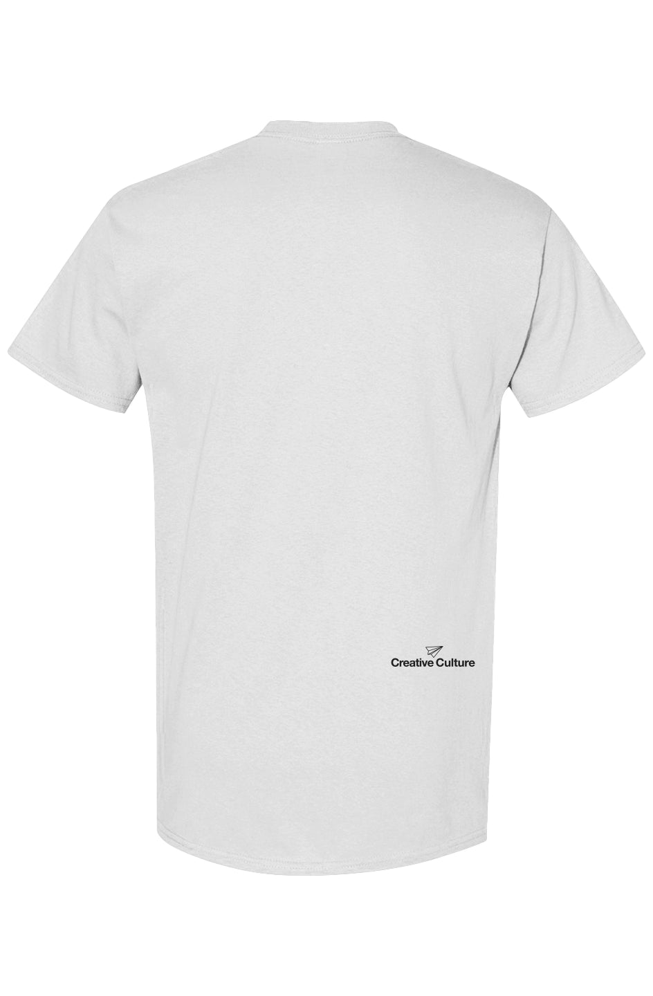 WHITE "DESIGN" W PLANE